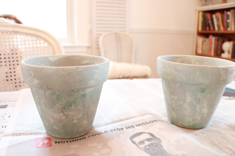 How to Age Terracotta Pots 