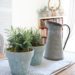 How to Age Terracotta Pots