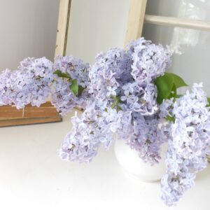 Poems about spring - lilacs