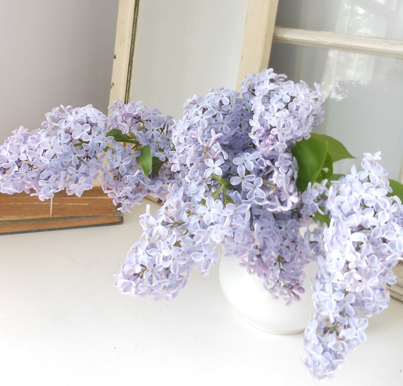 Poems about spring - lilacs