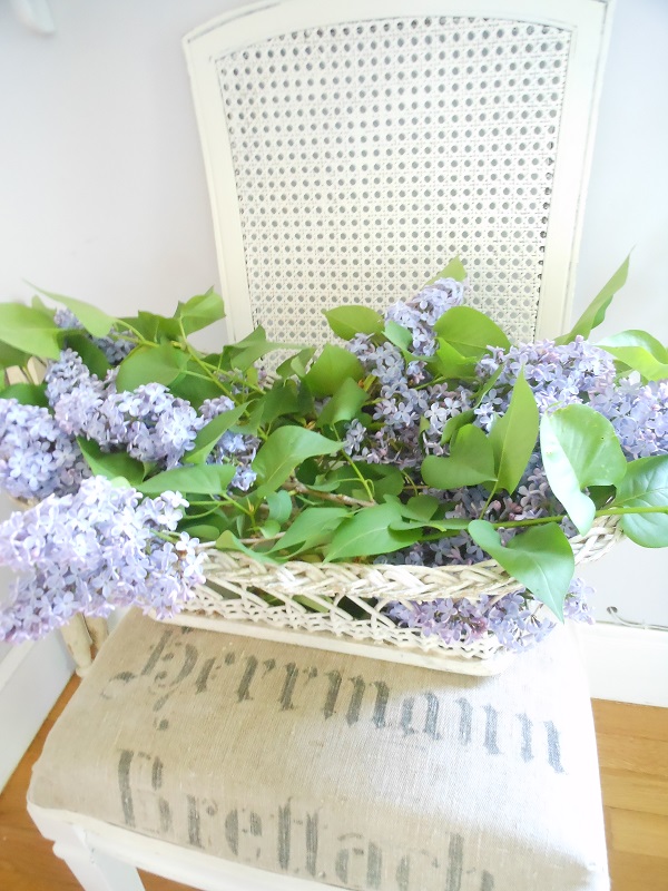Poems about spring - lilacs 