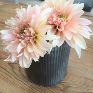 Favorite Books for Simple Flower Gardens