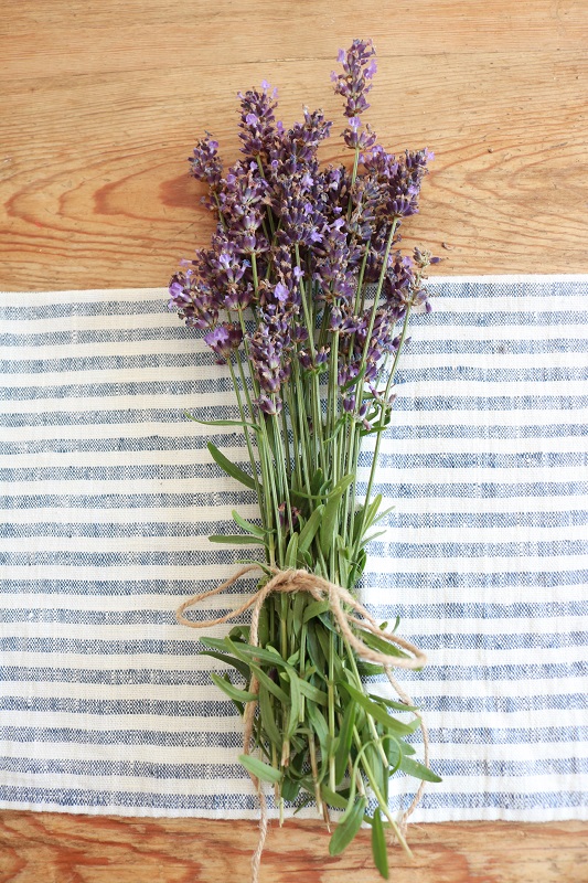  tie lavender in bundle