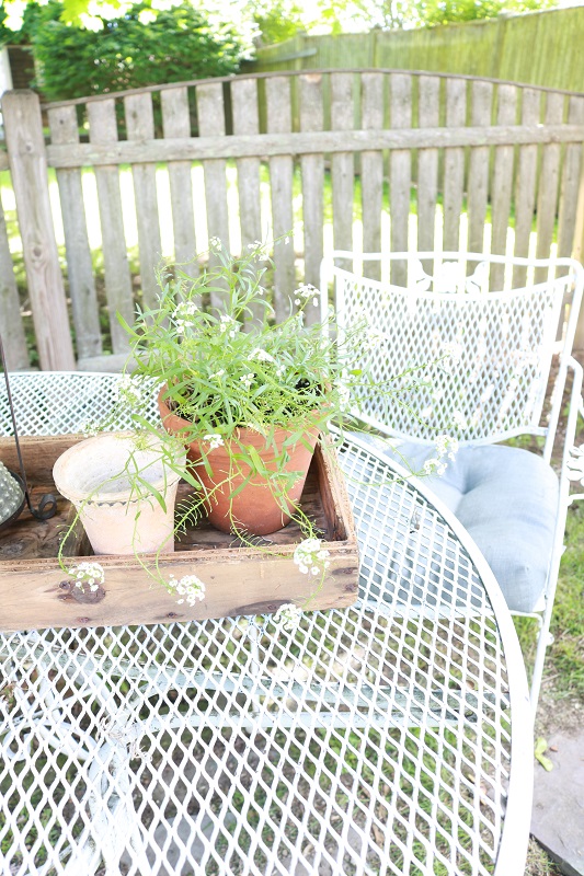 white patio table plant