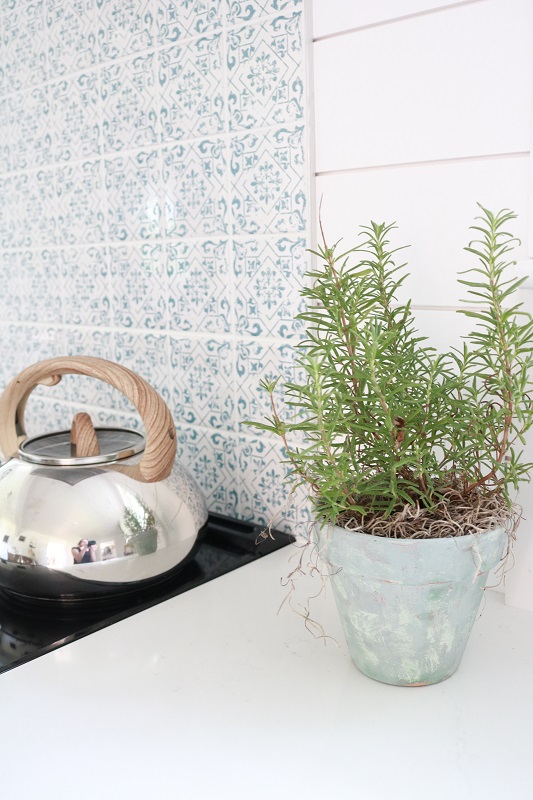 Decorating for Fall - Rosemary herb in pot, kitchen rosemary, #rosemary, #modernfarmhouse