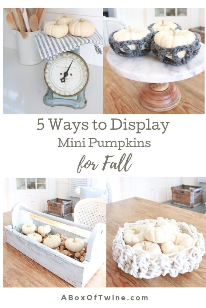 Decorating with Mini Pumpkins  - 5 ways to display baby boos this fall, #falldecor #babyboos #minipumpkins
