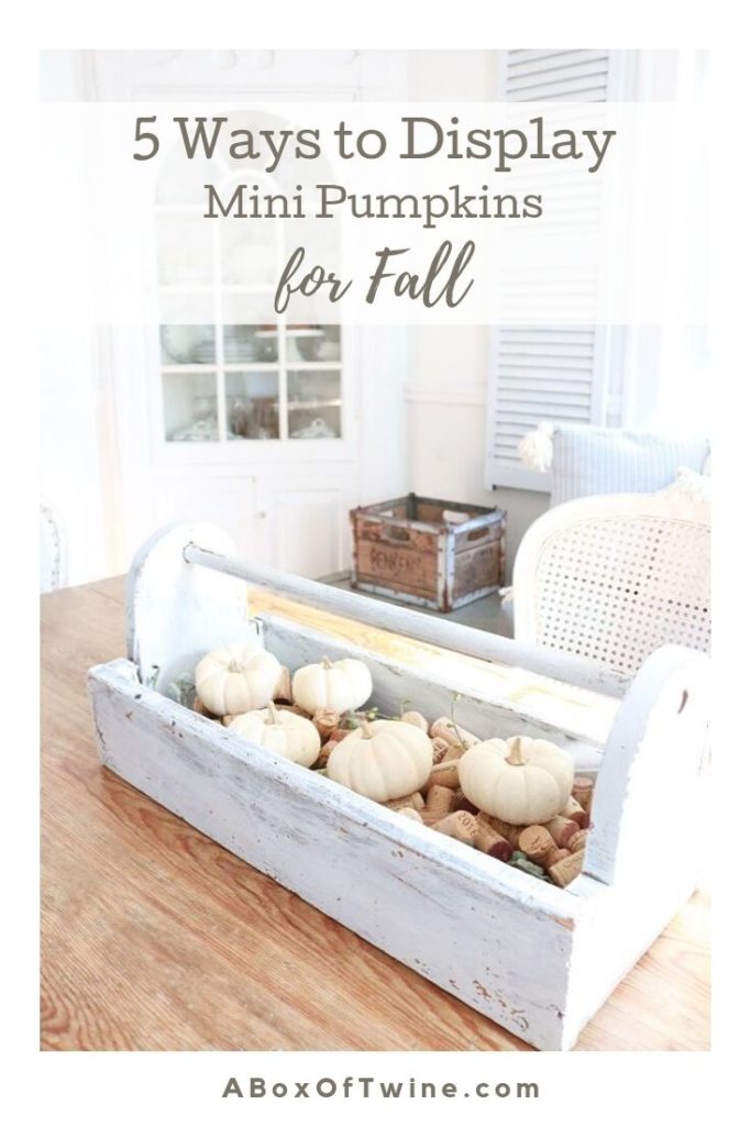 Decorating with Mini Pumpkins - Pin B
