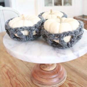 Mini Pumpkin Cozy - Free Crochet Pattern Nestle your baby boo pumpkins inside these cute cozies, crocheted with chunky yarn. #freecrochetpattern #minipumpkins #pumpkincozy