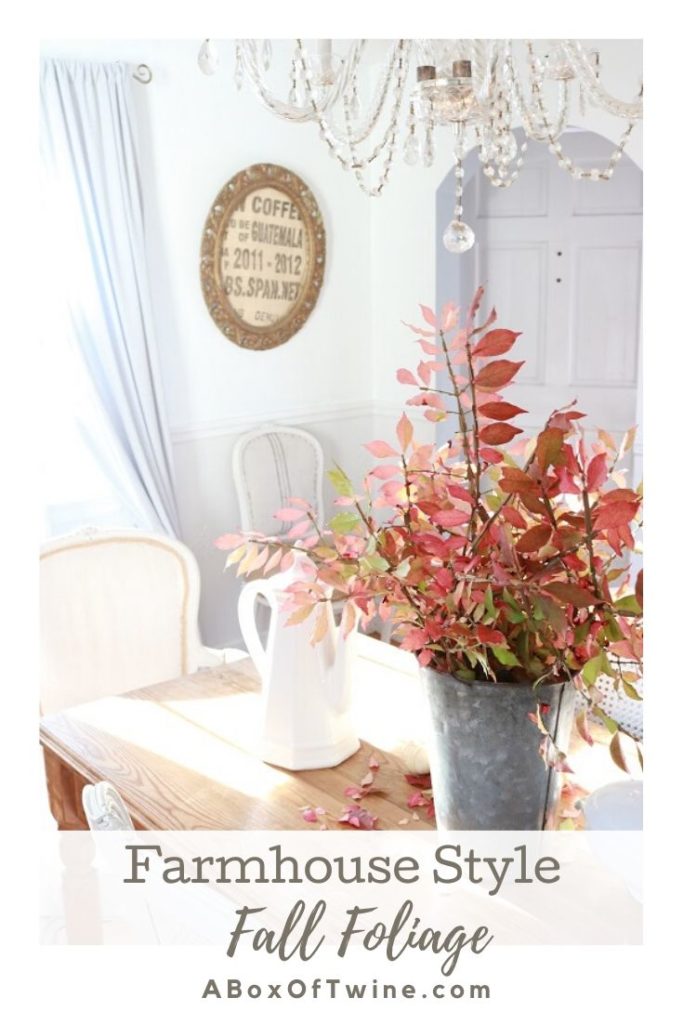 Decorate your Farmhouse Style home with real Fall Foliage.  Place a bunch of clipped branches in a rustic vase to showcase their colors.  #fallfoliage #falldecor