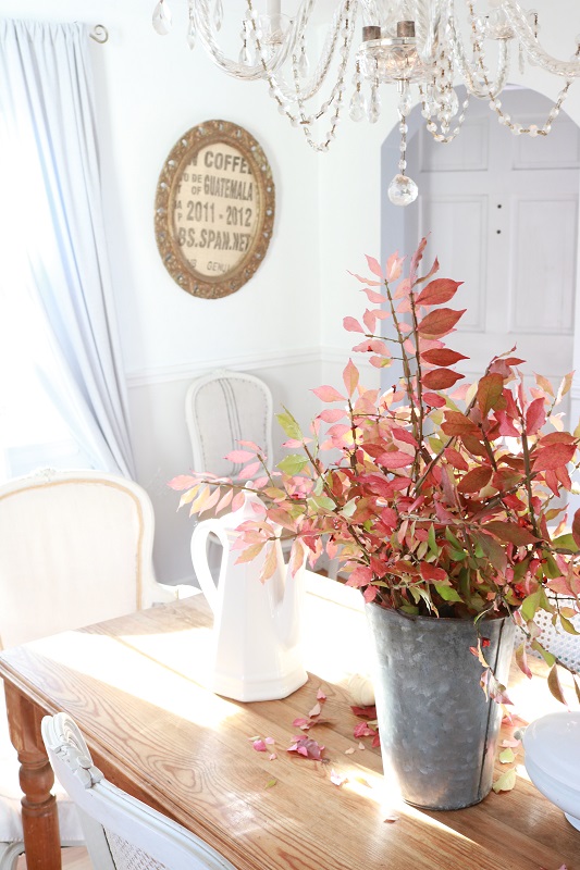 Decorate your Farmhouse Style home with real Fall Foliage.  Place a bunch of clipped branches in a rustic vase to showcase their colors.  #fallfoliage #falldecor