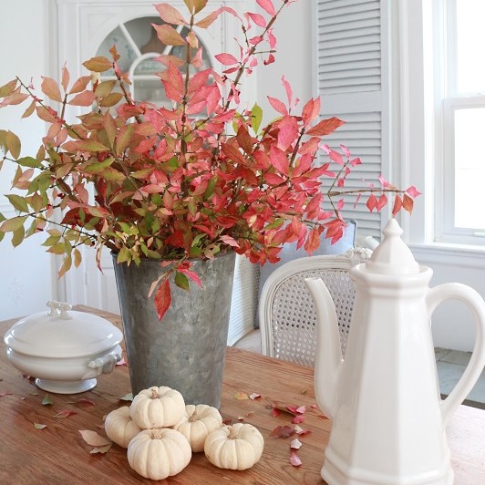 Decorate your Farmhouse Style home with real Fall Foliage. Place a bunch of clipped branches in a rustic vase to showcase their colors. #fallfoliage #falldecor