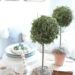 DIY Faux Topiaries - finished topiaries for Pin A