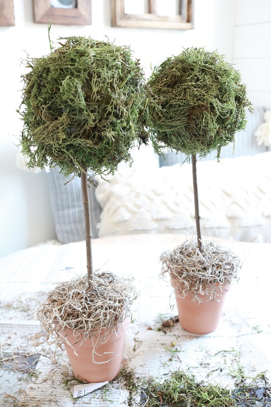 DIY Faux Topiaries - glue spanish moss on top of pot