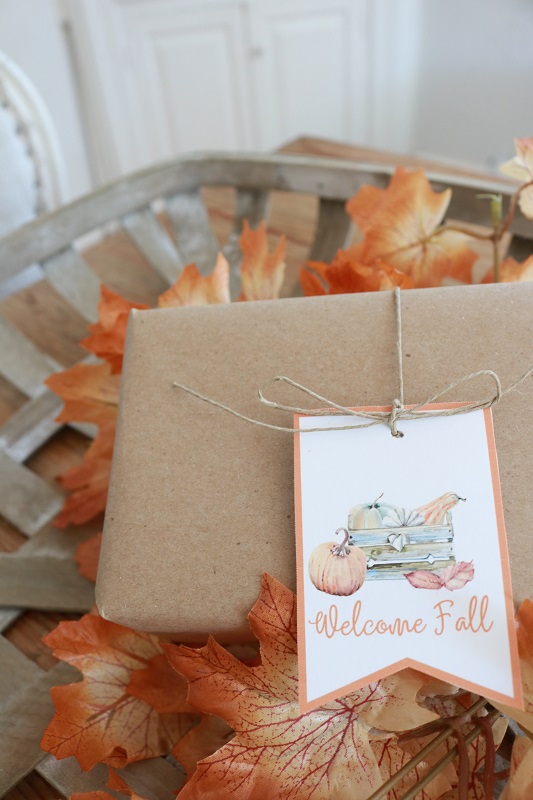 Cozy Fall Gift Tags - pumpkin patch closeup