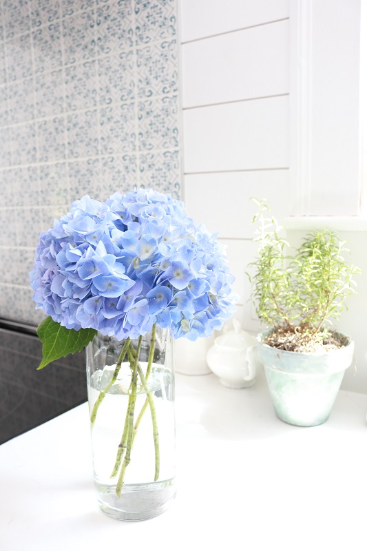 Showstopping Hydrangea Arrangements - cut for vase
