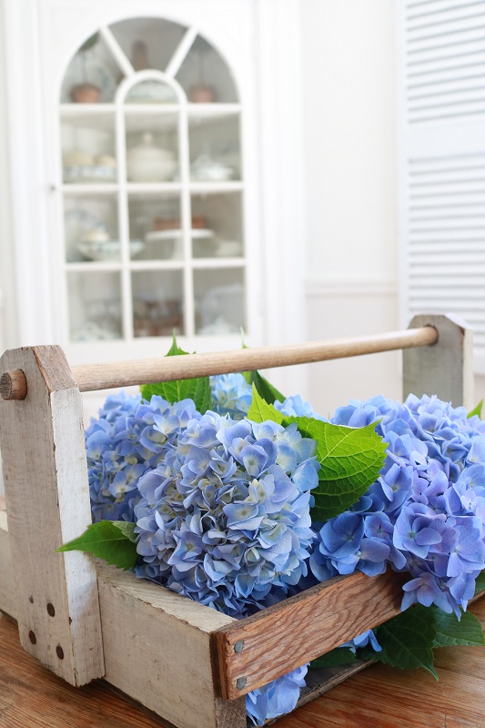 Showstopping Hydrangea Arrangements - gathered in caddy