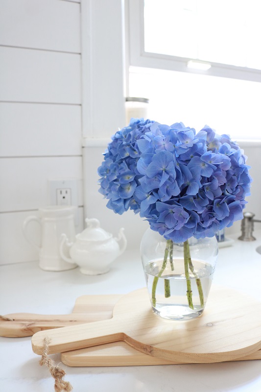 Showstopping Hydrangea Arrangements - simple arrangement in glass vase