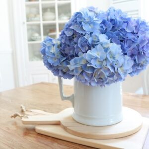 Showstopping Hydrangea Arrangements - simple arrangement in ironstone, feature