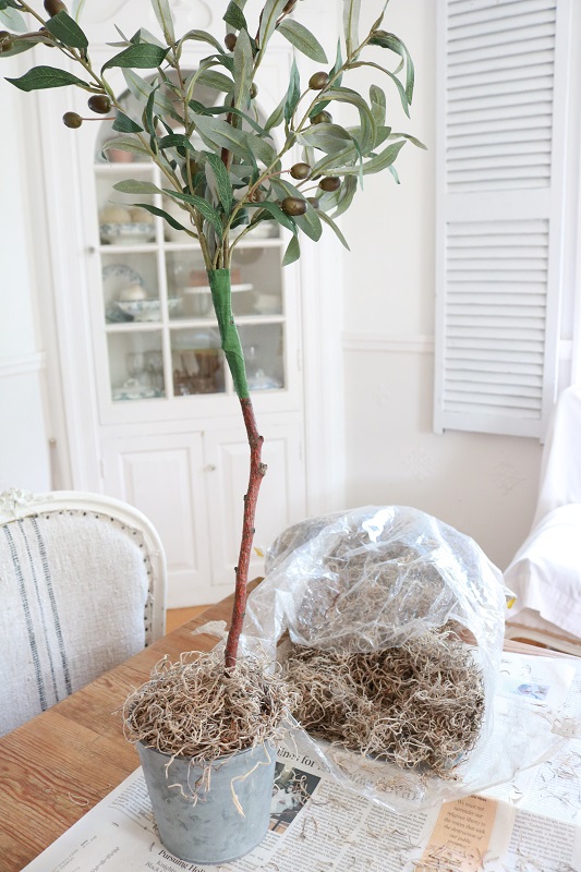 DIY Faux Olive Topiary - cover pot with spanish moss
