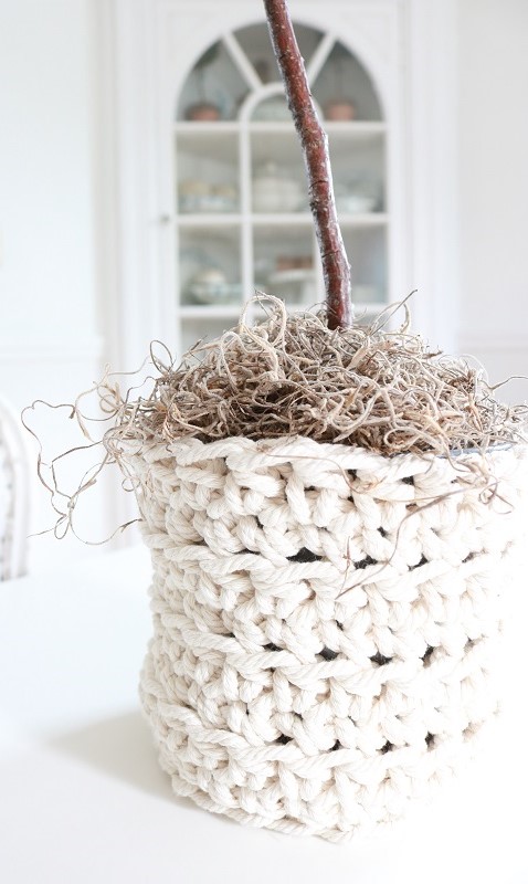 Crochet Basket for Plant - with topiary, closeup
