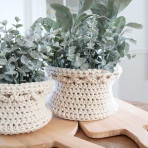 Crochet Basket Pattern - finished with plants, horizontal